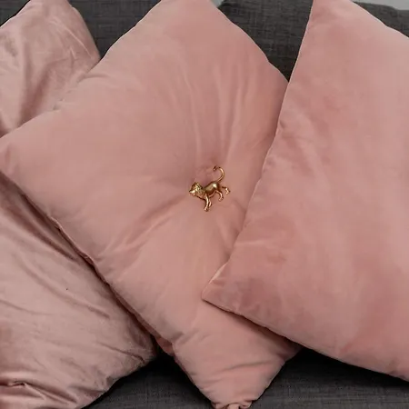 Spacious In For 8 People By Renters Διαμέρισμα *